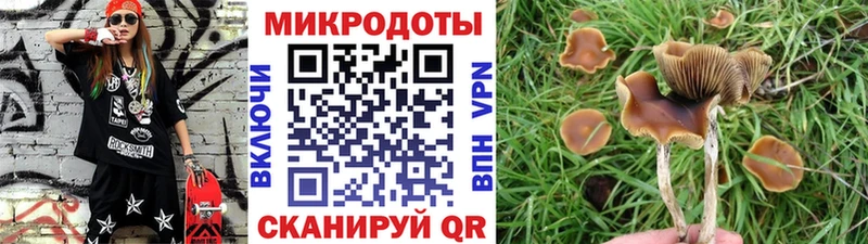 Псилоцибиновые грибы MAGIC MUSHROOMS  Купить  Чкаловск 